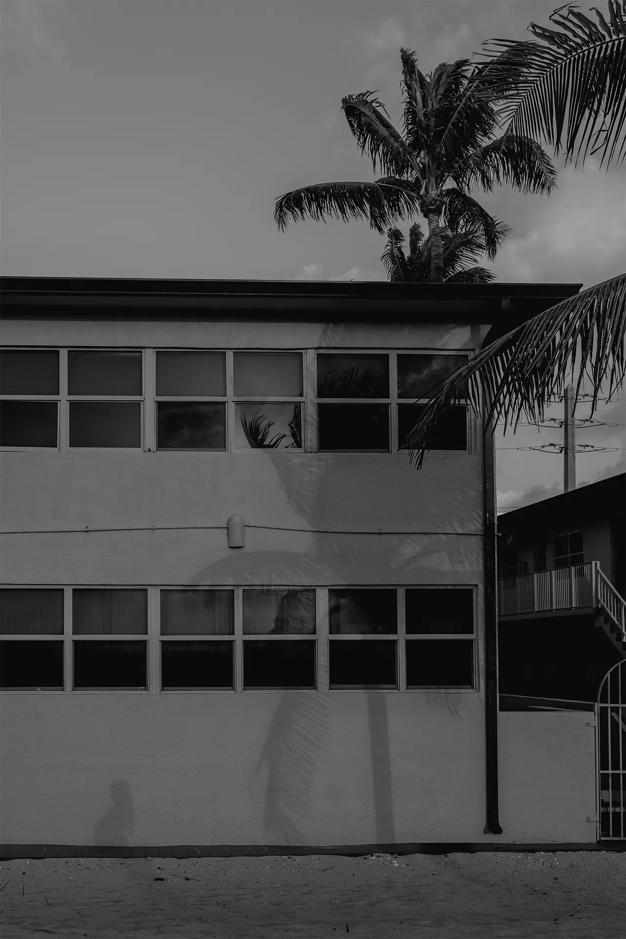 Creative maternity photo with palm tree shadows and a pregnant woman's silhouette